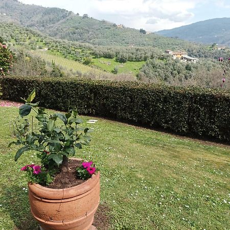 Villa Camelia Tuscany Pescia Extérieur photo