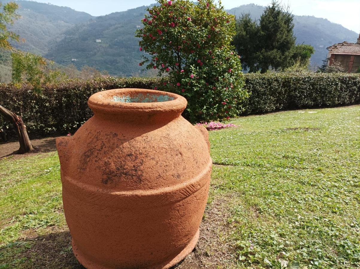 Villa Camelia Tuscany Pescia Extérieur photo