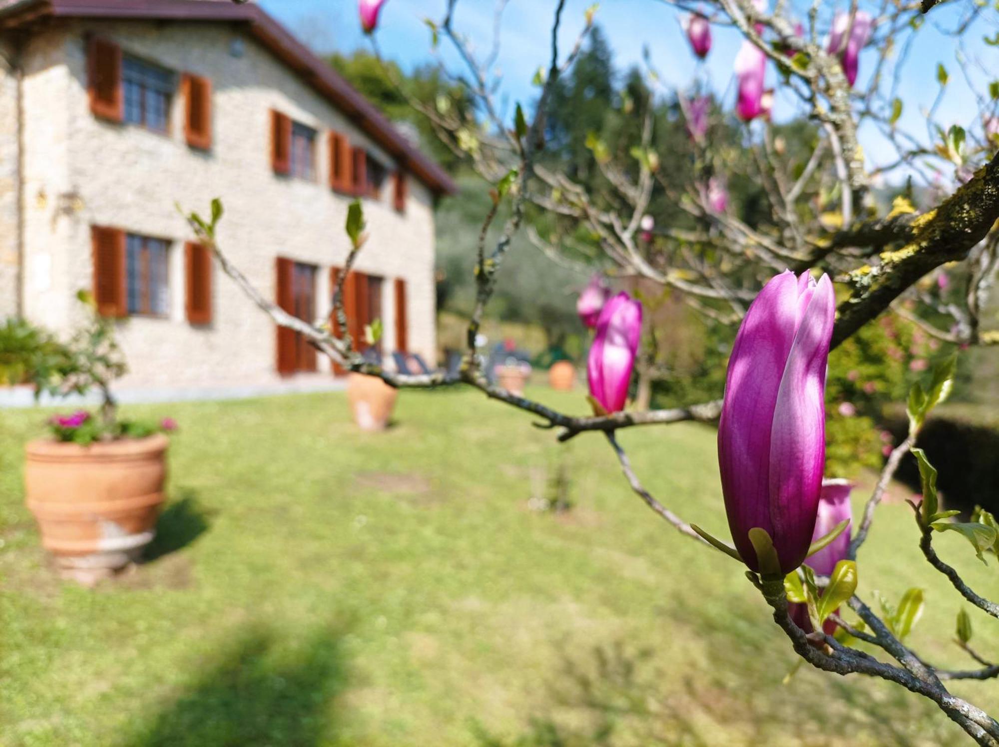 Villa Camelia Tuscany Pescia Extérieur photo