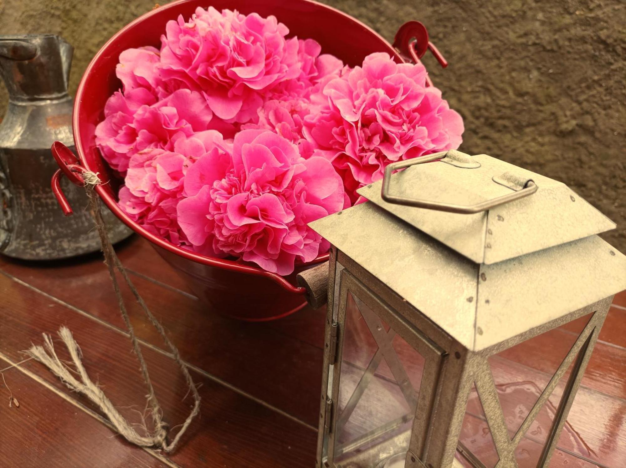 Villa Camelia Tuscany Pescia Extérieur photo